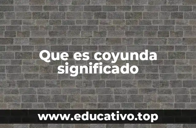 Que es coyunda significado