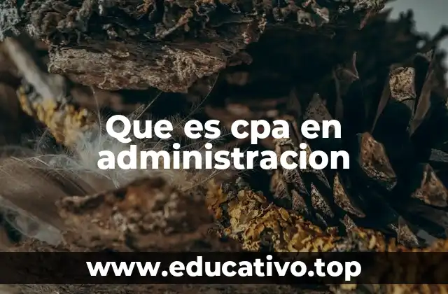 Que es cpa en administracion