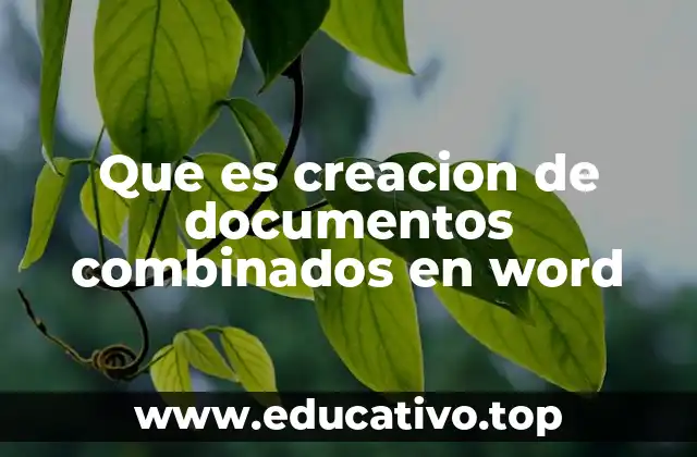 Que es creacion de documentos combinados en word