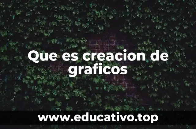 Que es creacion de graficos