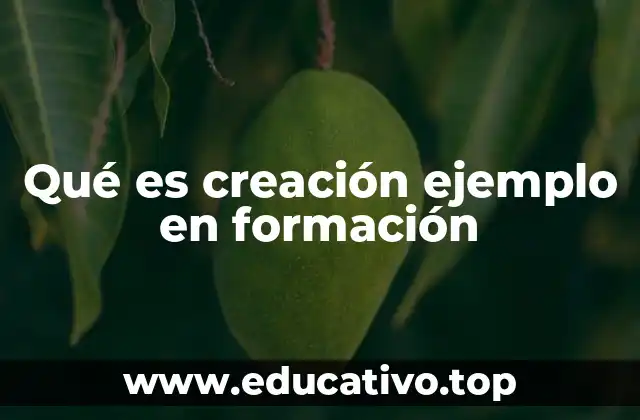 Qué es creación ejemplo en formación