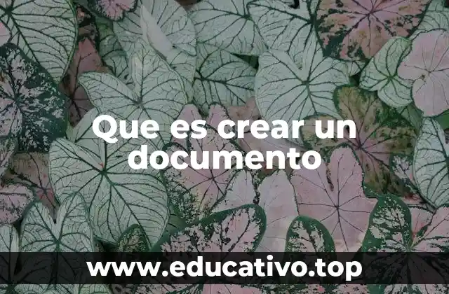 Que es crear un documento