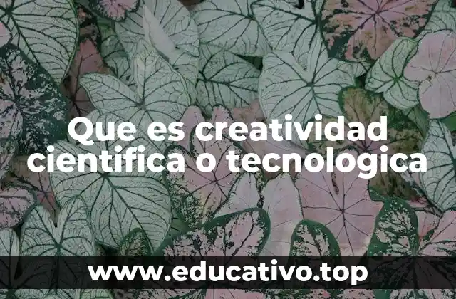 Que es creatividad cientifica o tecnologica