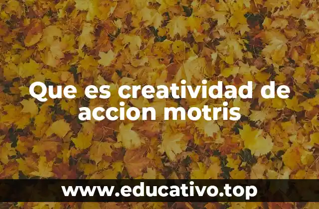 Que es creatividad de accion motris