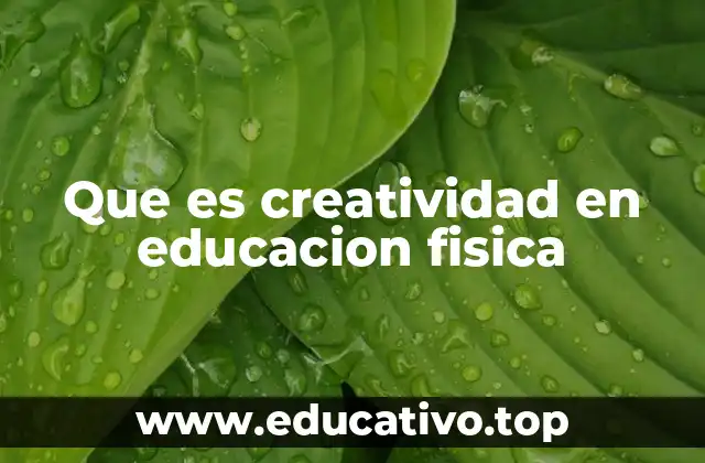 Que es creatividad en educacion fisica