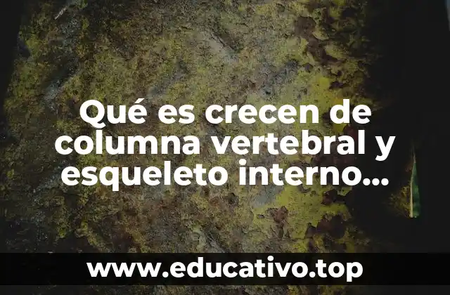 Qué es crecen de columna vertebral y esqueleto interno articulado