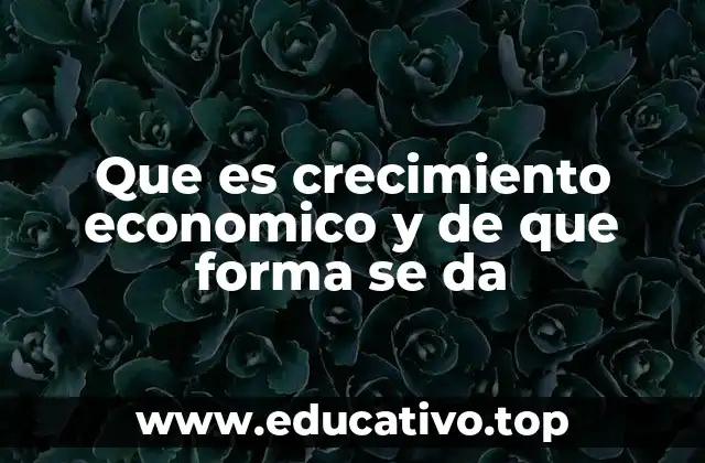 Que es crecimiento economico y de que forma se da