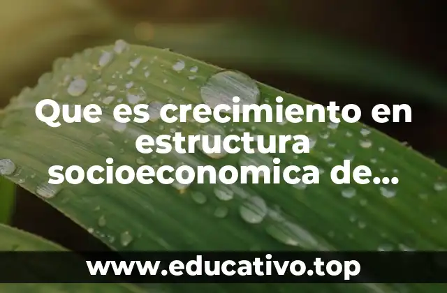 Que es crecimiento en estructura socioeconomica de mexico