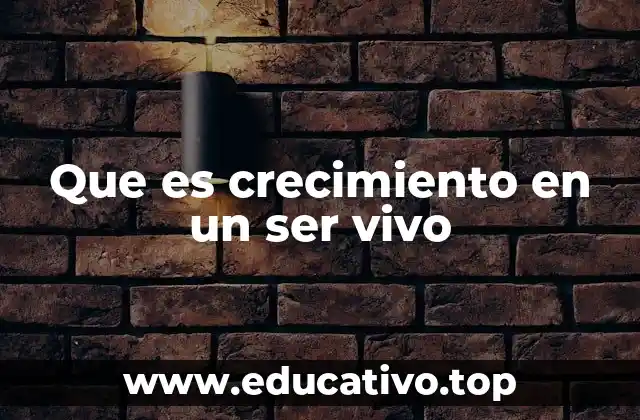 Que es crecimiento en un ser vivo
