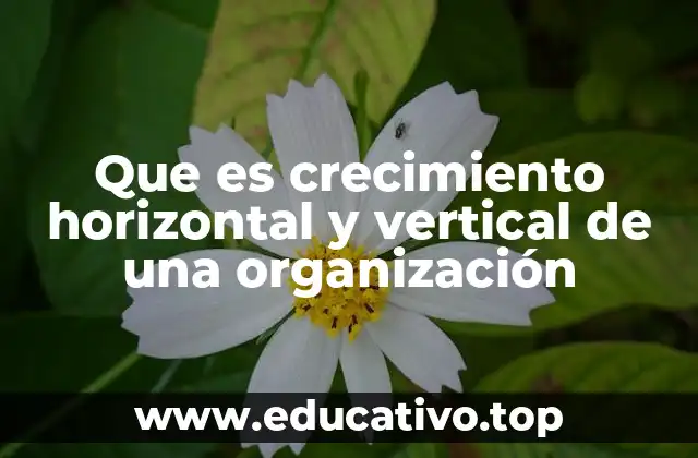 Que es crecimiento horizontal y vertical de una organización