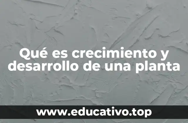 Qué es crecimiento y desarrollo de una planta