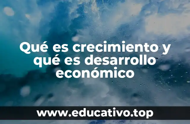 El rol de las políticas públicas en la economía
