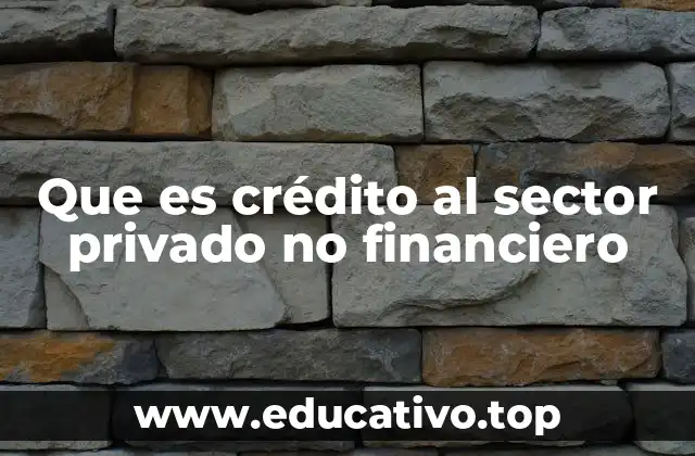 Que es crédito al sector privado no financiero