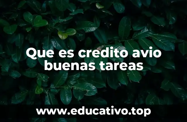 Que es credito avio buenas tareas