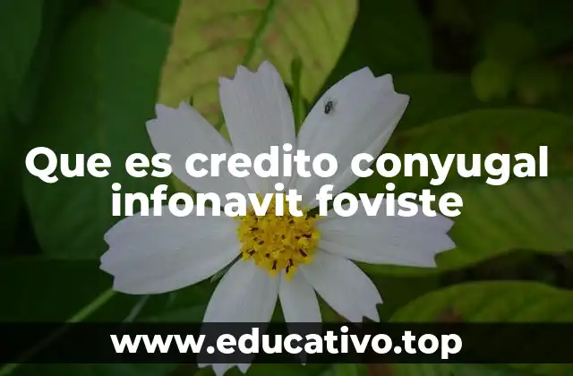 Que es credito conyugal infonavit foviste