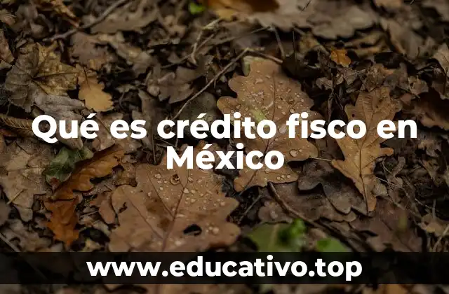 Qué es crédito fisco en México
