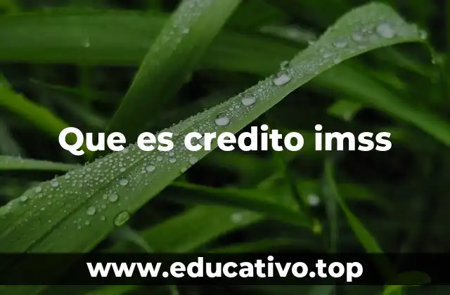 Que es credito imss
