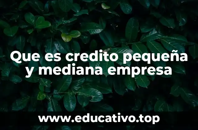 Que es credito pequeña y mediana empresa
