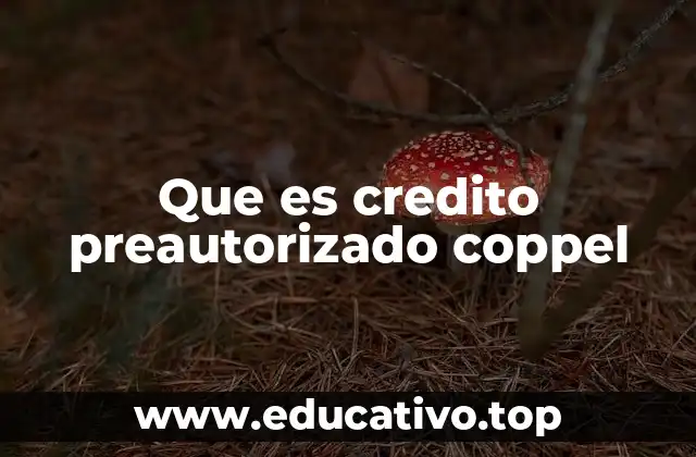 Que es credito preautorizado coppel