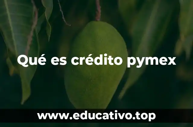 Qué es crédito pymex