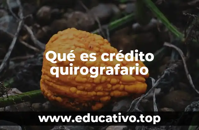 Qué es crédito quirografario