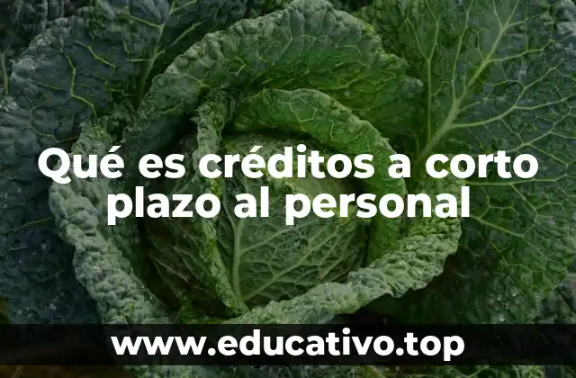 Qué es créditos a corto plazo al personal