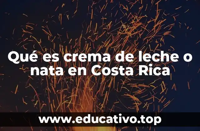 Qué es crema de leche o nata en Costa Rica