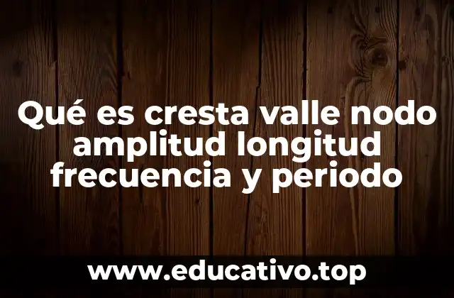 Qué es cresta valle nodo amplitud longitud frecuencia y periodo