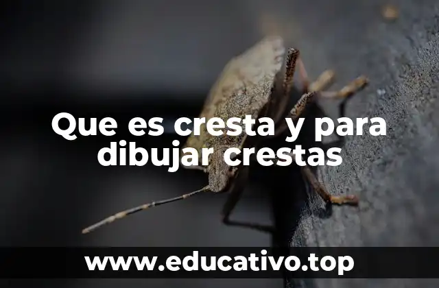 Que es cresta y para dibujar crestas