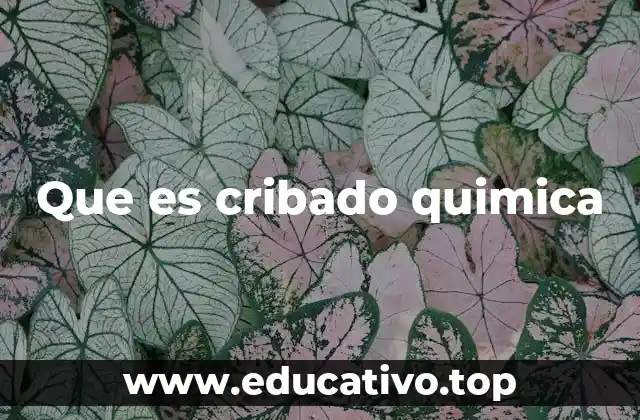 Que es cribado quimica
