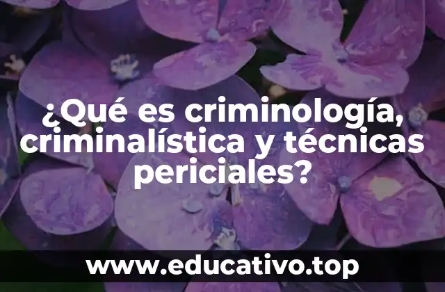 ¿Qué es criminología, criminalística y técnicas periciales?