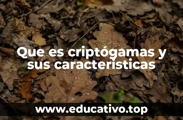 Que es criptógamas y sus caracteristicas