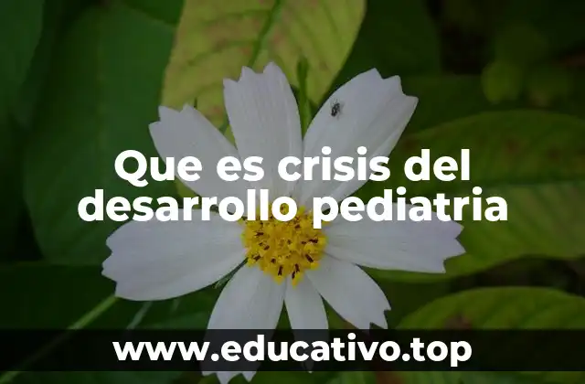 Que es crisis del desarrollo pediatria