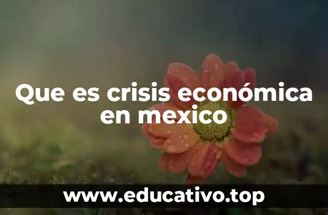 Factores que pueden desencadenar una crisis económica en México