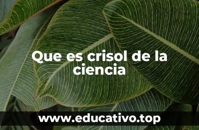 Que es crisol de la ciencia