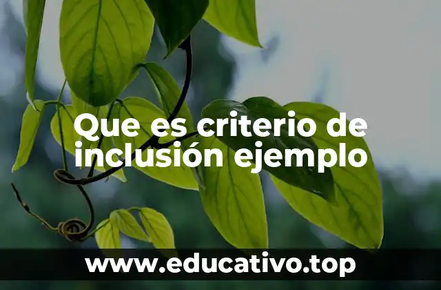 Que es criterio de inclusión ejemplo