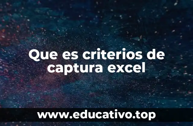 Que es criterios de captura excel