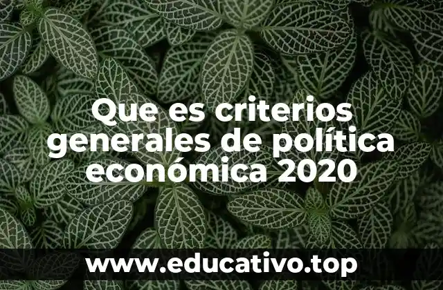 Que es criterios generales de política económica 2020