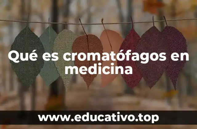 Tipos de cromatófagos y su distribución en el cuerpo humano