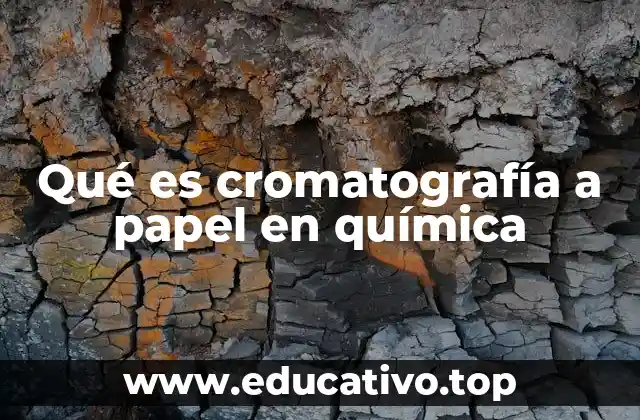 Qué es cromatografía a papel en química