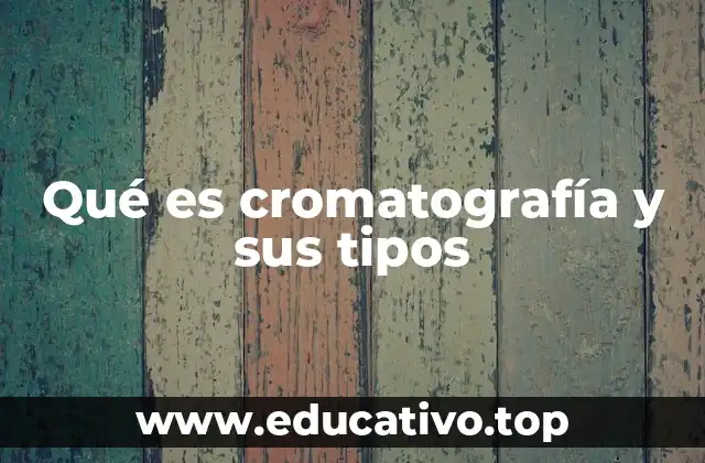 Qué es cromatografía y sus tipos