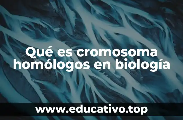 Qué es cromosoma homólogos en biología