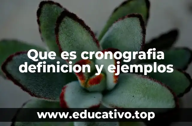 Que es cronografia definicion y ejemplos
