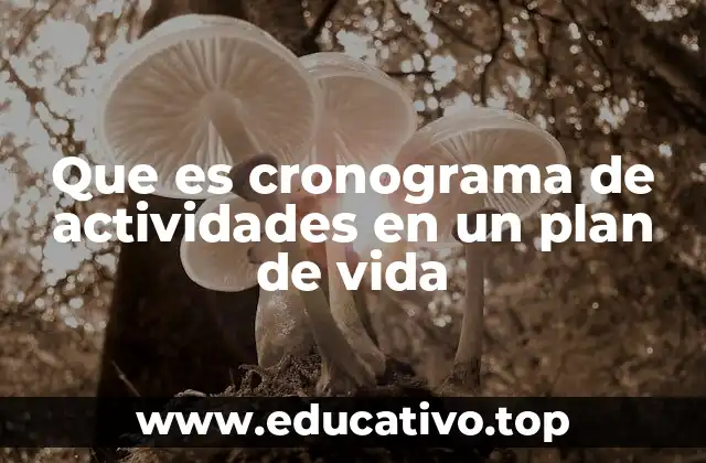 Que es cronograma de actividades en un plan de vida