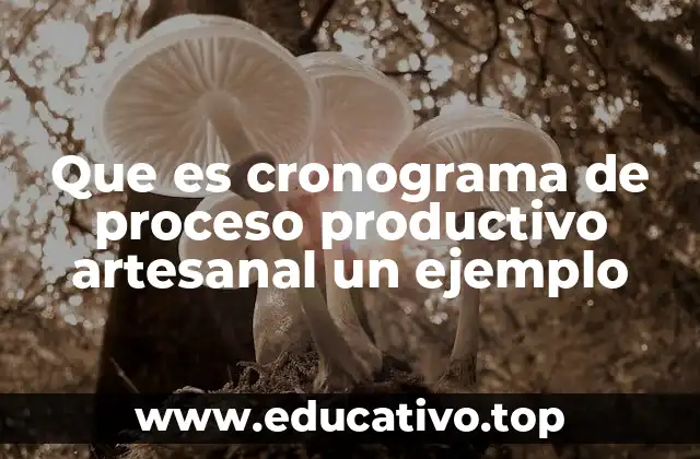 Que es cronograma de proceso productivo artesanal un ejemplo