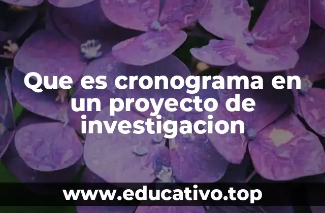 Que es cronograma en un proyecto de investigacion