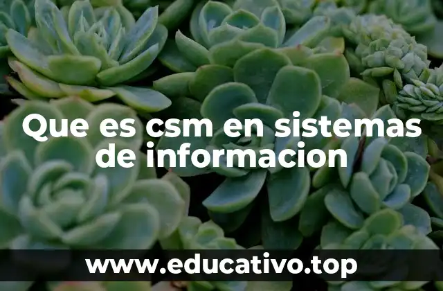 Que es csm en sistemas de informacion