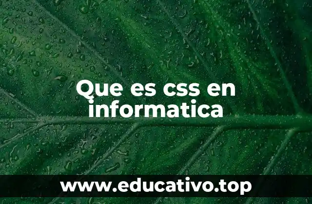 Que es css en informatica