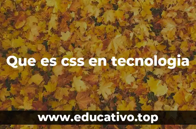 Cómo CSS transformó el diseño web