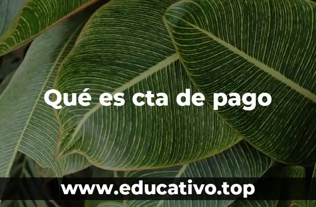 Qué es cta de pago